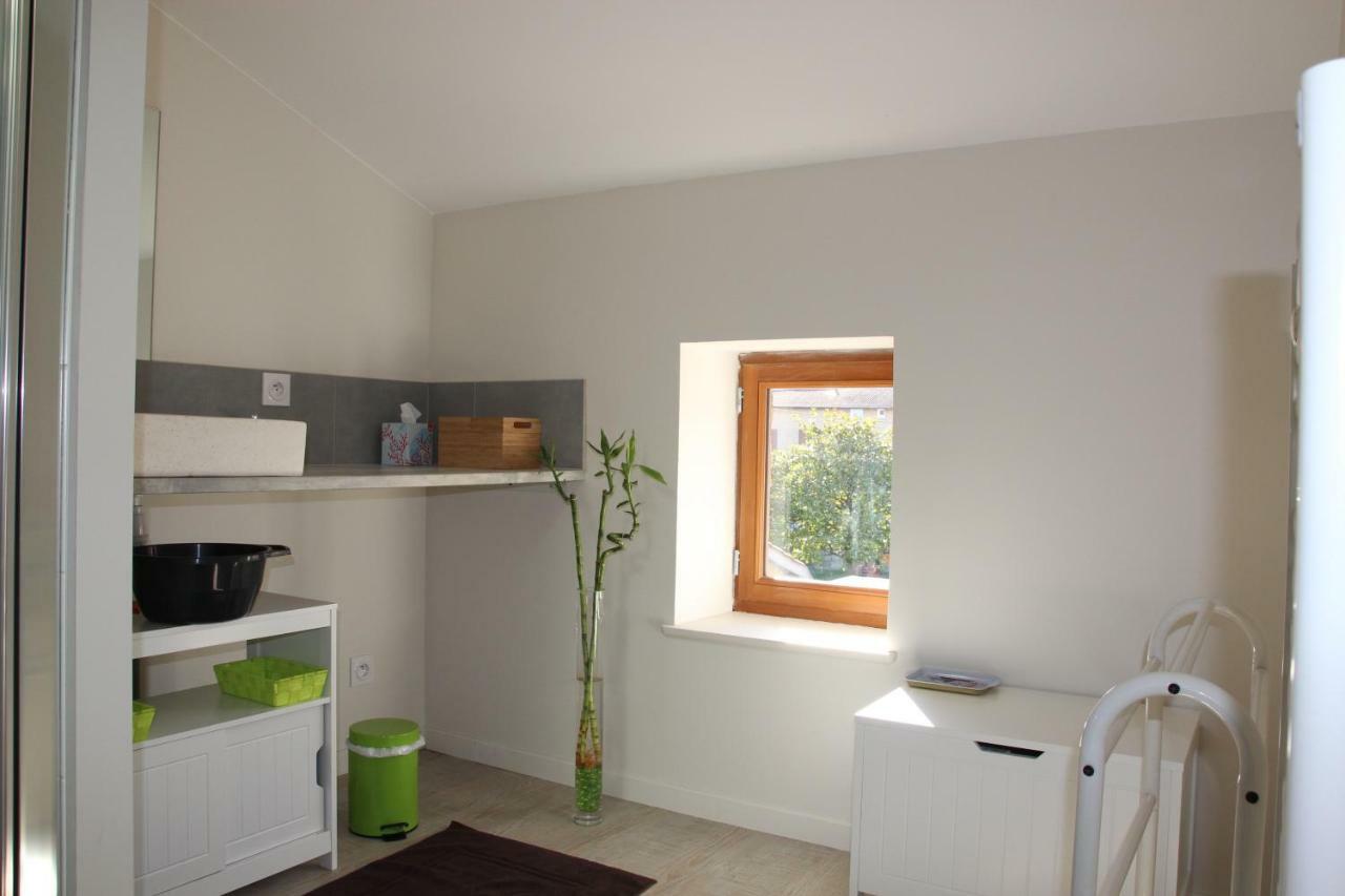 Grand Duplex Au Calme En Centre-Ville Villefranche-sur-Saône Eksteriør bilde